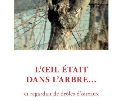 L'œil était dans l'arbre... et regardait de drôles d'oiseaux