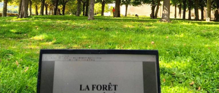 Bienvenue dans la Forêt enchantée (théâtre)