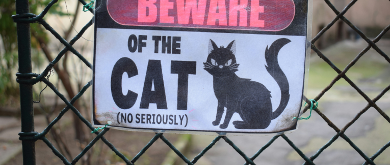 L'affaire du Chat perché...