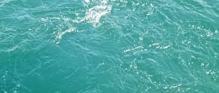 Premier texte: Amour, monde et toi.