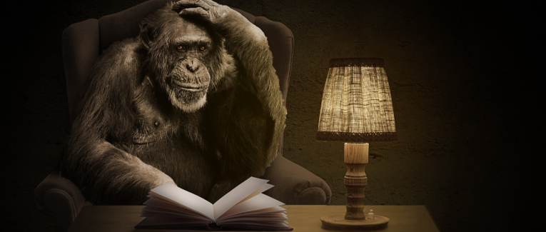 Le singe