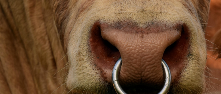 Piercing