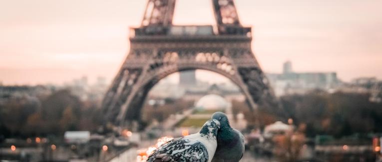 Les premiers jours