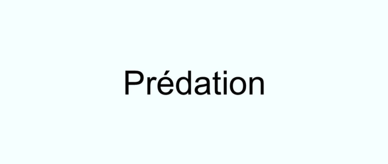 Prédation