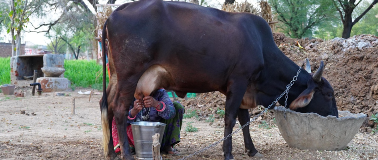 Lait