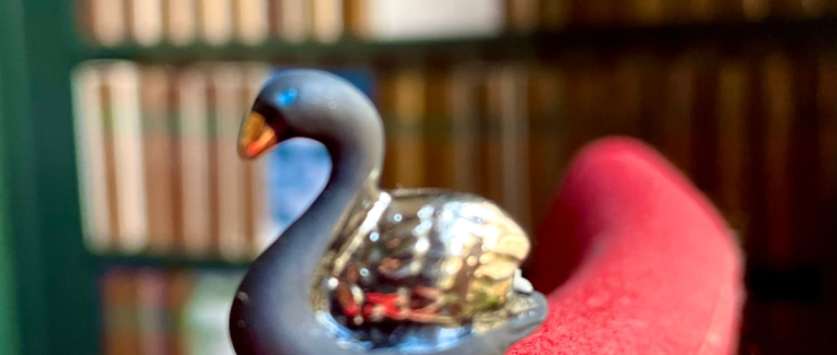 Fleurs mathématiques et cygne flou