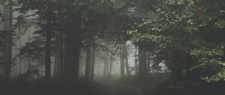 S ' ENFONCER DANS LA BRUME