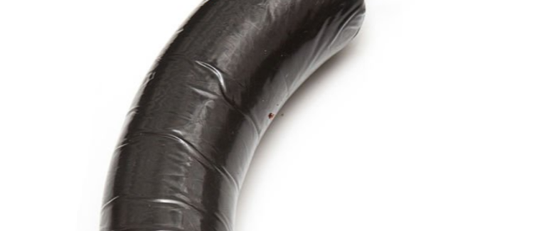 Phallus