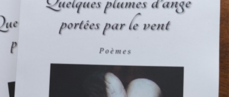 "Quelques plumes d'ange portées par le vent"