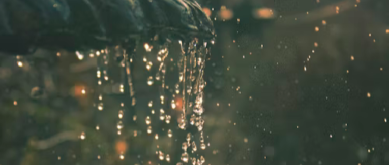 Purification