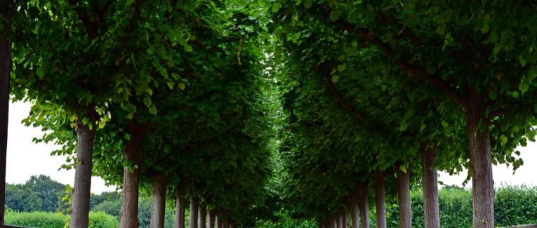 Épisode 21 - Une révélation douloureuse