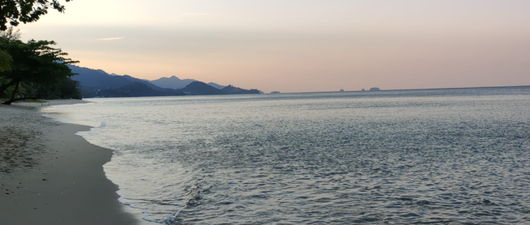 Une bouteille à la mer