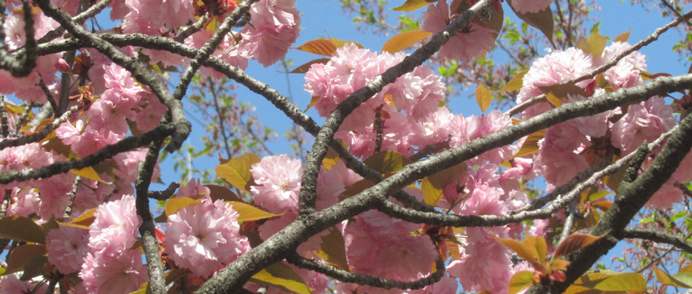 Premières impressions