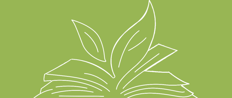 Green Tales: Empowering Creativity with German Students - Part II