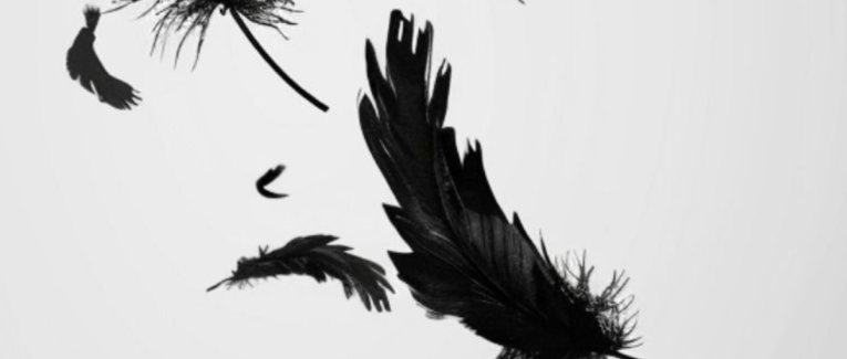 1.Comme une plume au vent