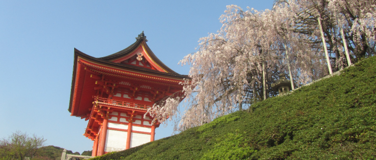 Premier jour à Kyoto