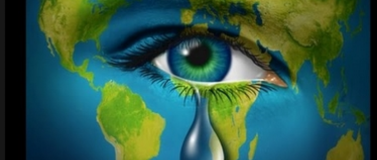 à quoi bon lutter ?!