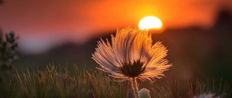 Frissonner... de plaisir !