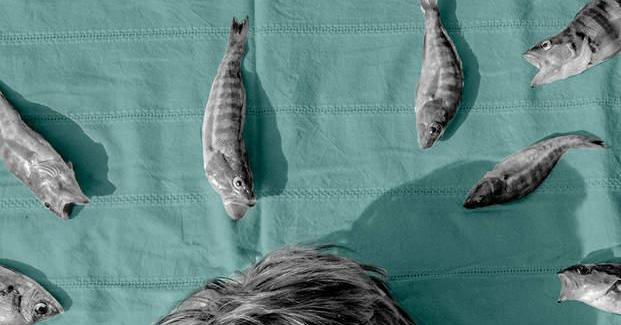 Comment j'ai rencontré les poissons