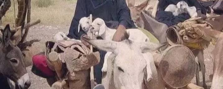 Sahel e dintorni