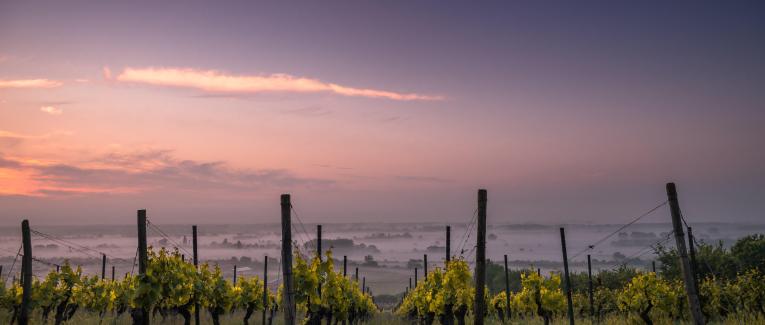 LE VIN AUTREMENT