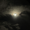 Plume de Nyx