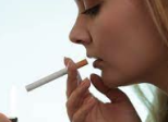 Élasticité consommation/prix du tabac