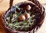 LES NOYAUX D'OR