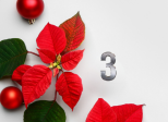 Jour 3 : La légende du Poinsettia