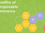 What Problems Does Composable Commerce Actually Solve?