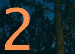Case 2: 💫 La lueur au cœur des arbres