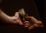 "HEART"