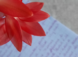 Encrer l'indicible - Premier poème