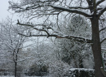 Mon moment préféré de Noël