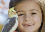 L'oiseau et l'enfant