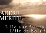 Voulez-vous découvrir Madère ?
