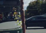 Abstract - Crazy Traffic, Stara Zagora, Bulgaria