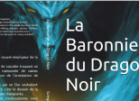 Sortie de mon roman : La Baronnie du Dragon Noir