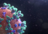 Je m'appelle " CORONAVIRUS "