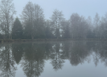 Hazy Days