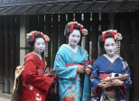 Les geisha, icônes du Japon traditionnel