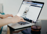 L’art des puces dans le blogging