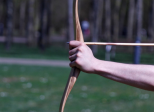 Elasticité