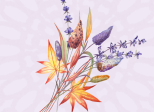 Festina Lente - Chapitre 1