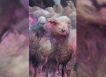 Missing shepherd