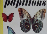 Les plus beaux papillons