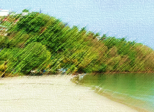 Assaut à l'Anse à L’Âne, la plage de la jeunesse martiniquaise !