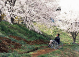 Hana-Bi (Takeshi Kitano, 1997)