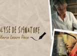 De l'analyse de signature...