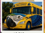 Le bus aras 🦜
